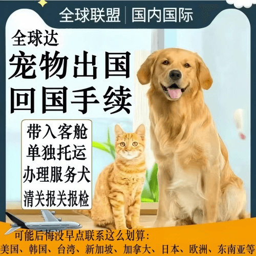 河池市宠物托运到柬埔寨宠物入境规定和要求