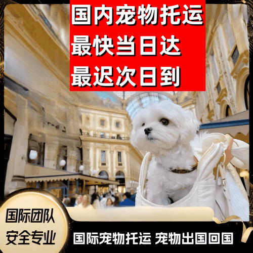 河池市到澳大利亚（澳洲）宠物入境规定和要求